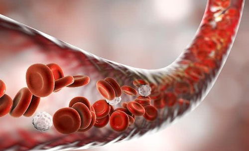 民间草药医生治冠心病